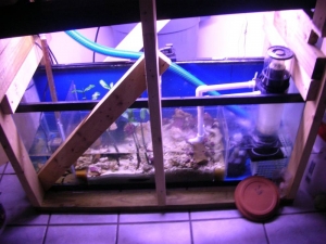 DIY_55g_sump_ver3