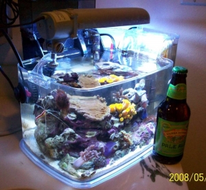 3 gallon micro nano