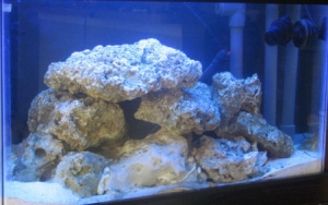 update 6-25-08