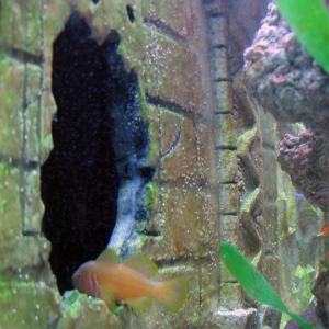 ATLANTIS