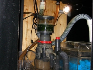 skimmer2