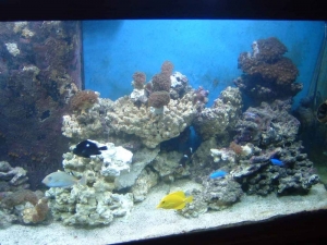 dscf0087
