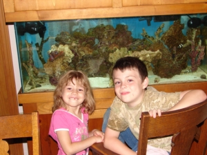 My future aquarists