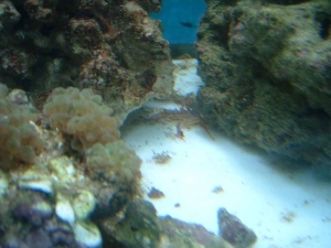 DSCF0117