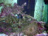 th_DSCN4032