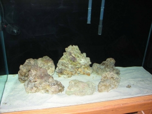 rocks