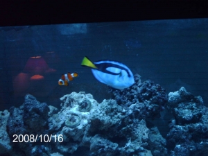 finding nemo