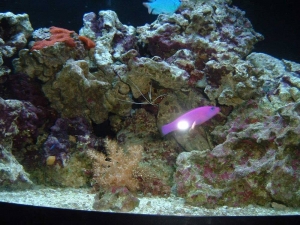 DSCF0007