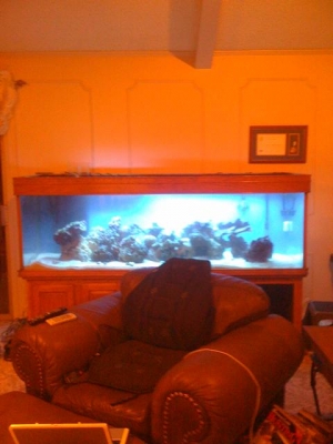 My Starter Aquarium