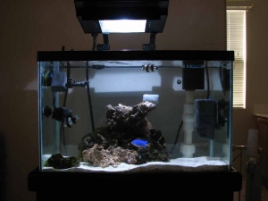 tankdone1