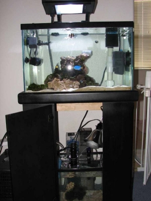 tankdone2