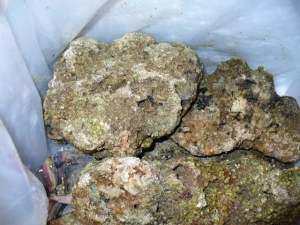 rocks