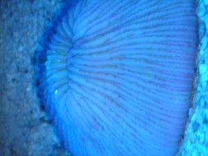 DSC03601