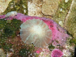 DSCF3574