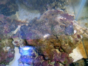 DSCF0030