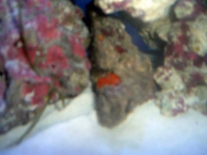 DSCF0033