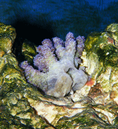 DSCF4040