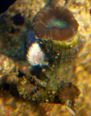 5-29-09_010