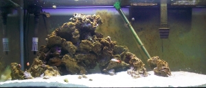 75 Gallon