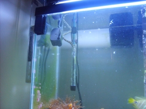 S5005350