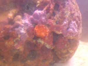 Photo0026