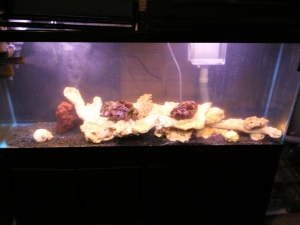 Photo0028