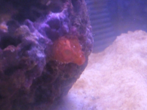Photo0039