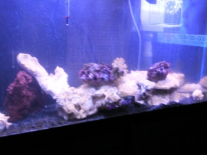 Photo0042