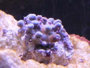 Photo0051