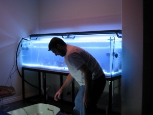 tank pics