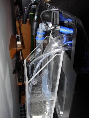 Lifereef overflow