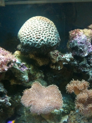 photo_2_