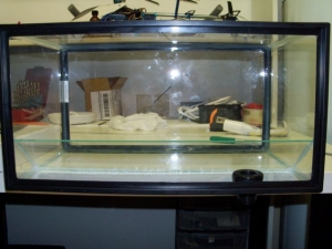29 biocube
