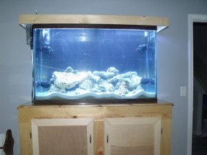 my 125 gal tank