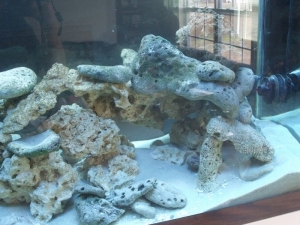 125 gal tank