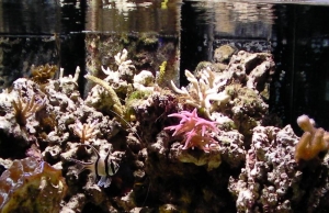 SANY0041a