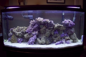 tank39