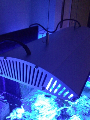 New Aqua Medic Ocean light 1
