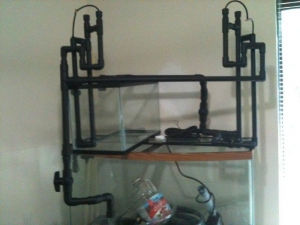 Tank Build-up - Plumbing Post-Paint