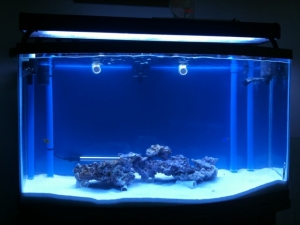 photo_1