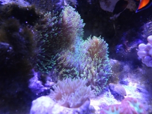 DSC00080