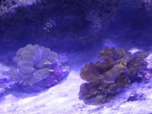 DSC00138