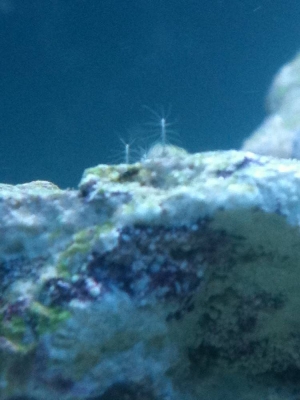 What is this?