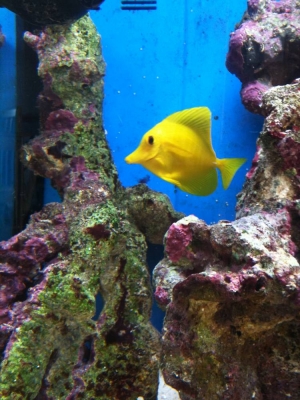 iphone_photos_254