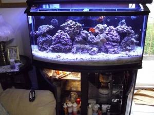 FTS w/sump