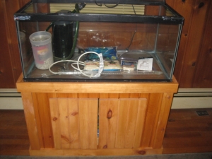 ready to be set up