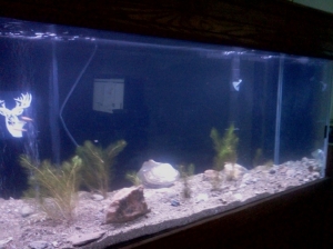 Rivertank