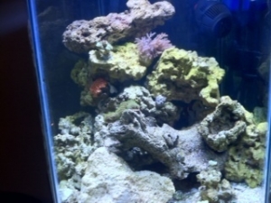 First tank