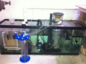 Np Pellets Reactor and sump