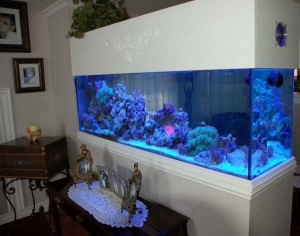My 125 Gallon Tank